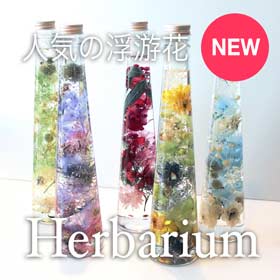 Hebarium 浮游花